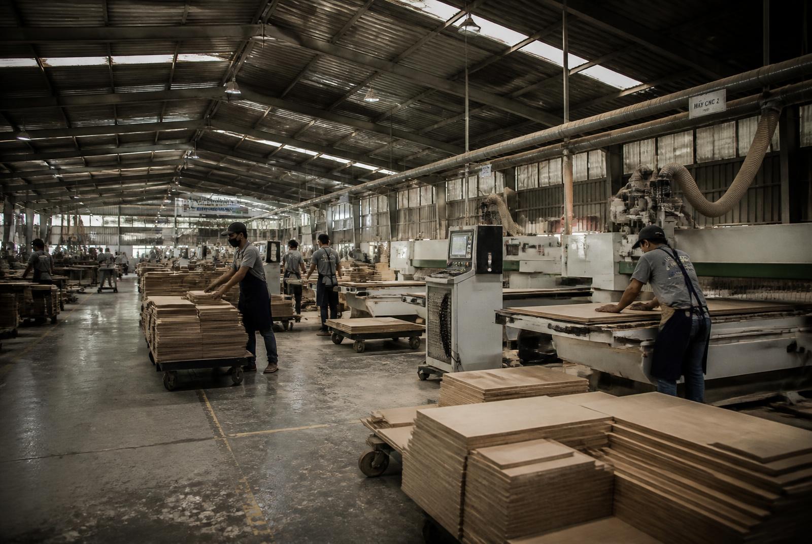 Raw hardwood slabs in the DesignByU workshop