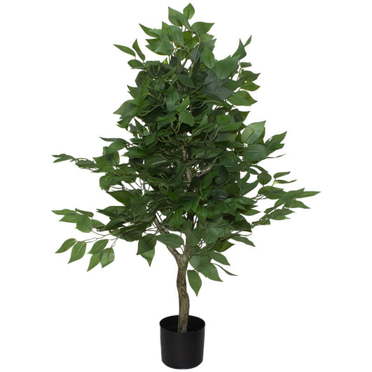 Ficus tree in pot