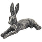 Hare lying down