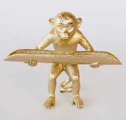 Monkey holding tray