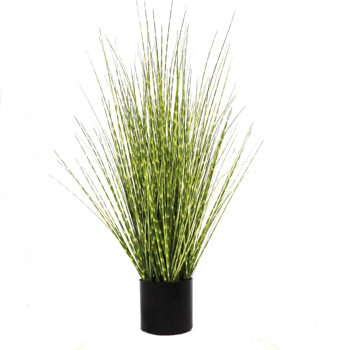 Grass pot porcupinus